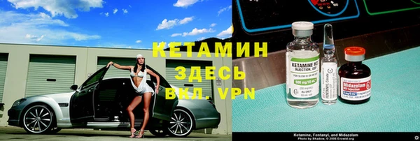шишки Дмитровск