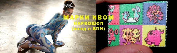 шишки Дмитровск