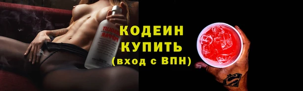apvp Дмитров