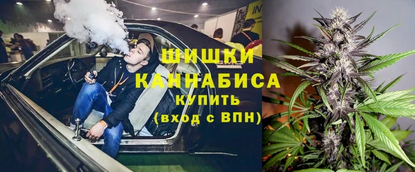 шишки Дмитровск