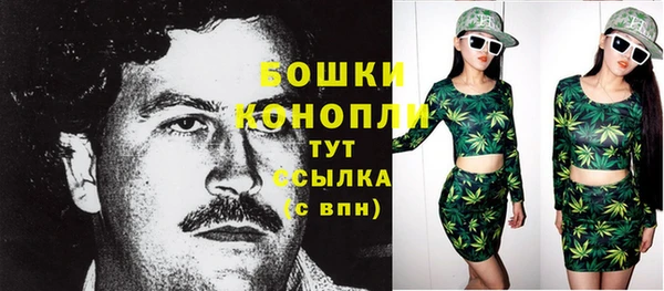 apvp Дмитров