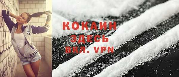 шишки Дмитровск