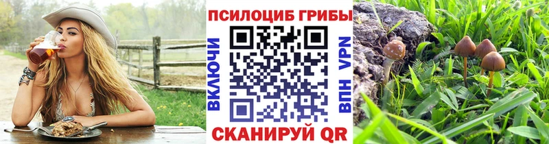 Галлюциногенные грибы MAGIC MUSHROOMS Купить Белая Калитва
